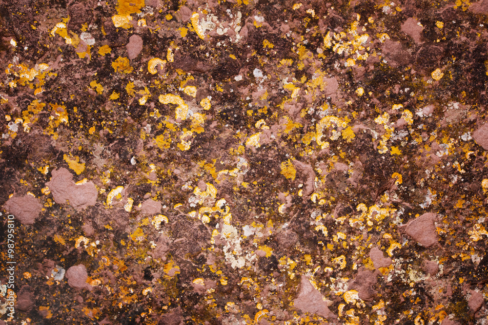 graye wall texture or background graye wall texture or background