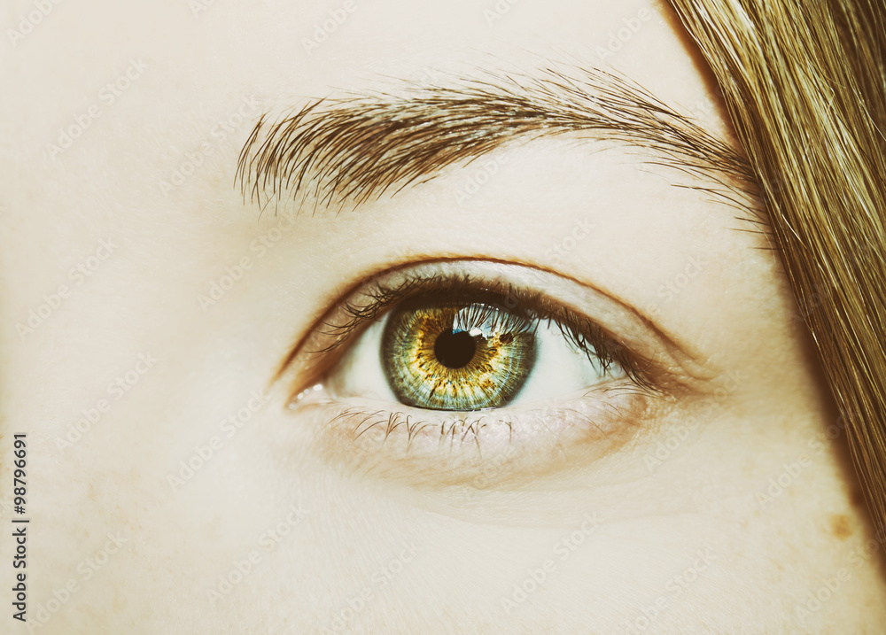 Obraz premium A beautiful insightful look eye. Close up shot 