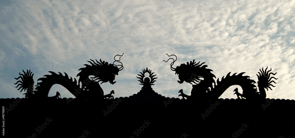  silhouette of chinese dragon