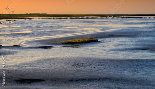 Wattenmeer,, Waddensea15170.jpg photo