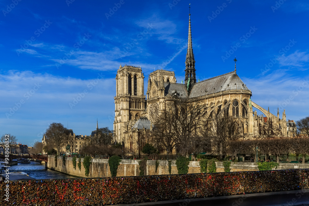 Obraz premium Nôtre-Dame de Paris, Paris, Bords de Seine
