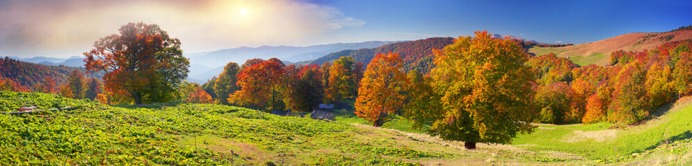 Autumn on the pasture