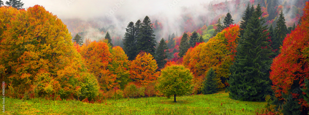 Obraz premium Mglista jesień Zakarpacia