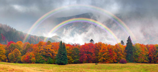 Wandcirkels Herfst Mistige herfst in Transkarpatië  © panaramka