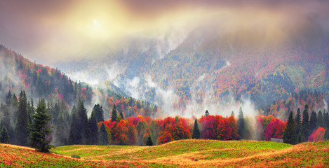 Misty autumn Transcarpathia
