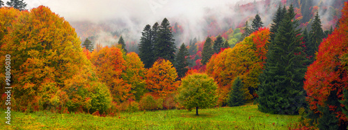 Misty autumn Transcarpathia photo