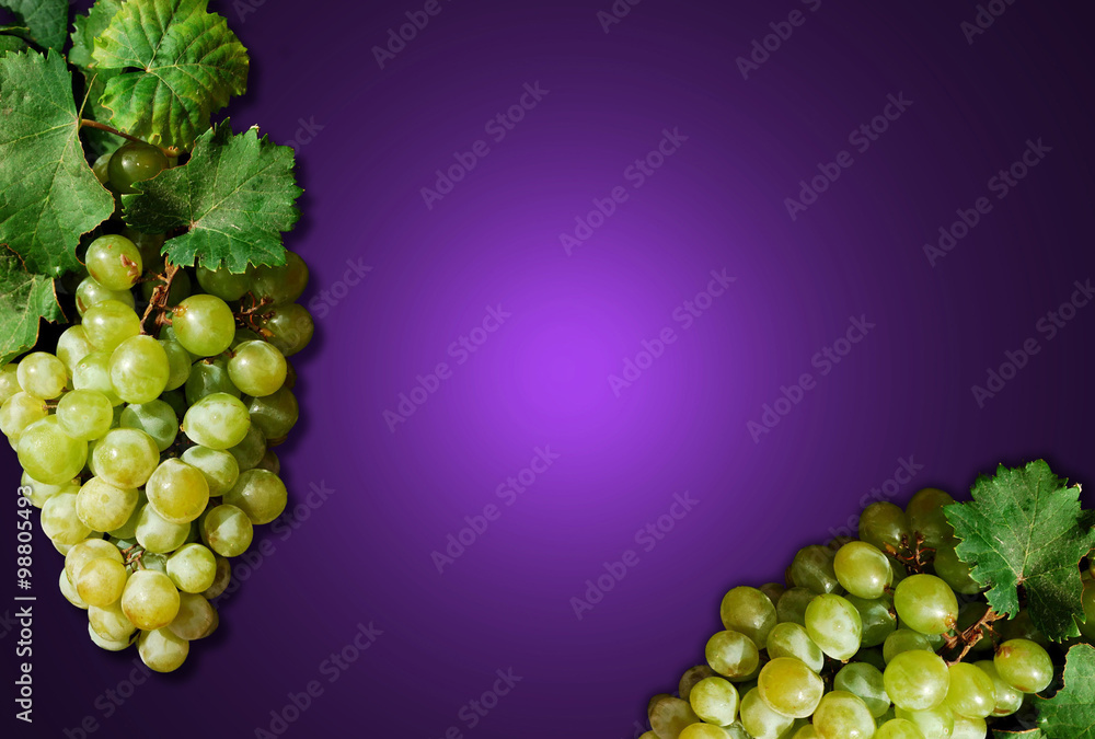 Uvas verdes, fondo morado, fruta, nutrición, alimentación, racimo
