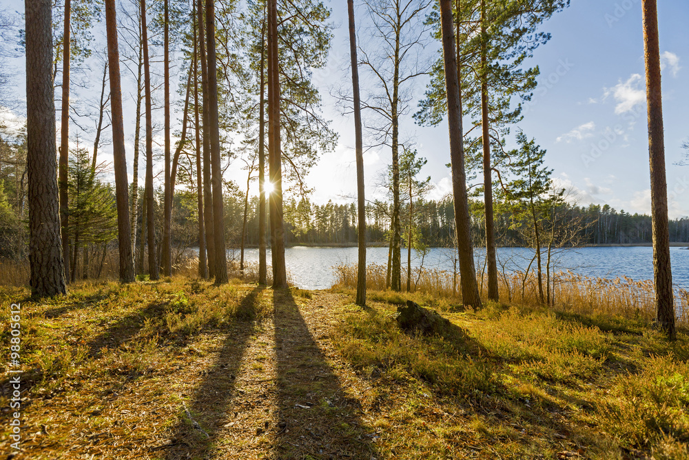 sunset over lake in the woods