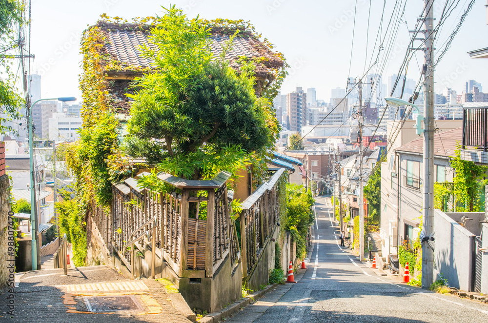 Naklejka premium old house at Fujimizaka slope,tokyo,japan