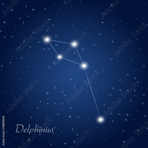 Delphinus constellation at starry night sky 