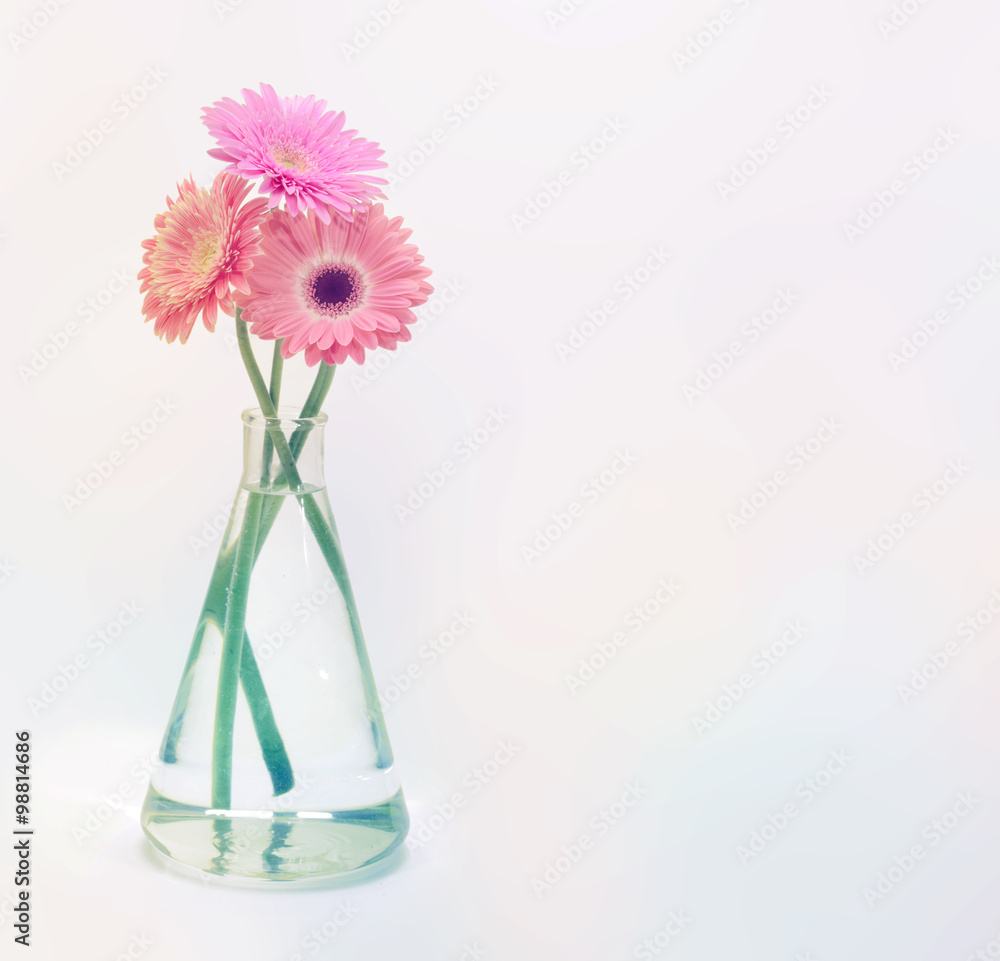 Gerbera flower bouquet on light background. Gerbera flower bouquet on light background.