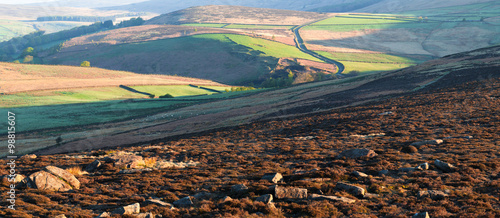 Sunrise Light Over Spring Heatherland in Peak District UK photo