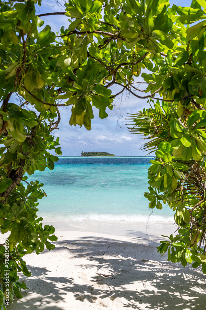 ein wunderschöner Strand mit Pflanzen auf einer Malediveninsel