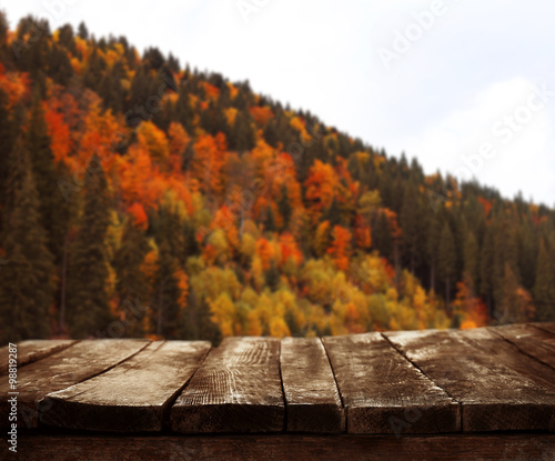 Beautiful nature background with wooden floor