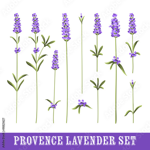 Set of lavender.