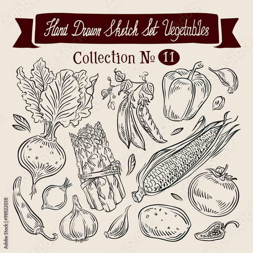 Vegetables sketch. set of elements - beet, peas, sweet pepper, garlic, tomato, potato, corn, asparagus, hot pepper