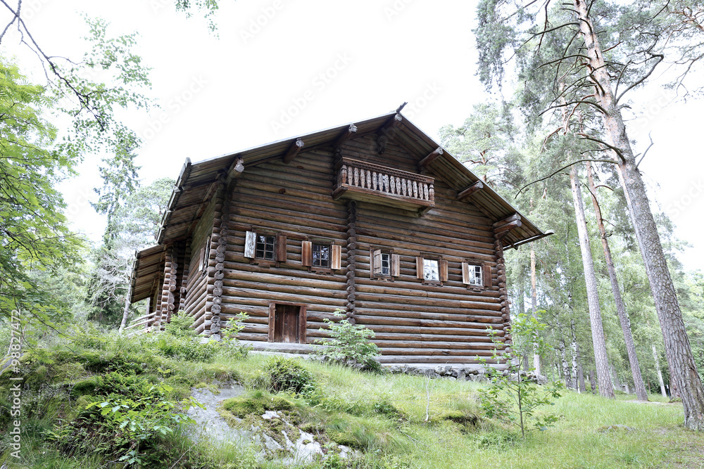 Fototapeta premium The old log house