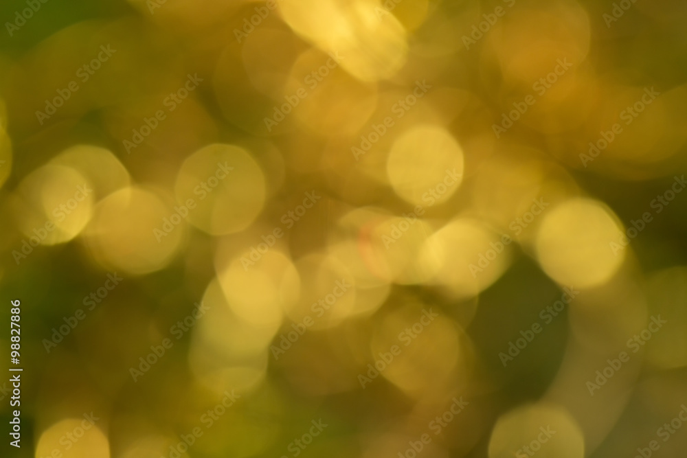 Obraz premium Naturlichter bokeh