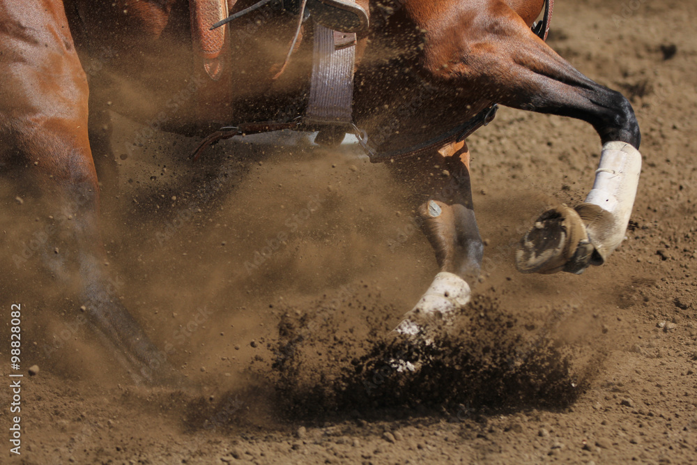 Naklejka premium Zdjęcie akcji konia ślizgającego się i kopiącego brud w widoku poziomym z bliska.