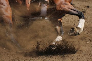 An action photo of a horse sliding and kicking up dirt in a horizontal close up view.