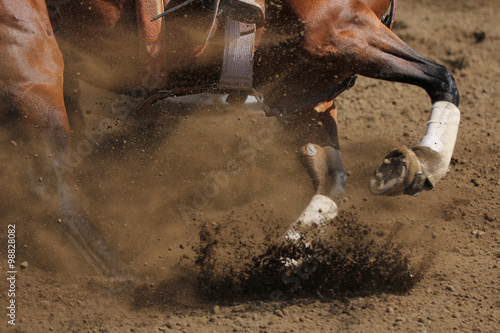 An action photo of a horse sliding and kicking up dirt in a horizontal close up view.