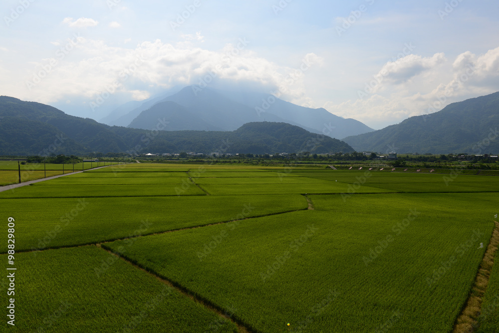 山與稻田,台東,台灣