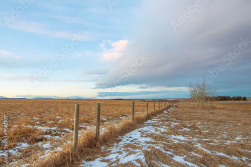 Praire Fence Landscape in Winter