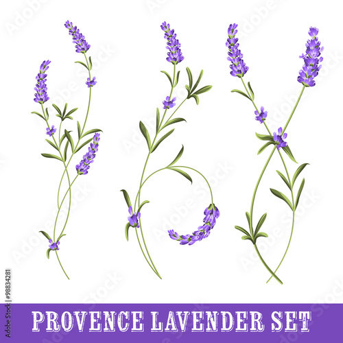 Set of lavender.