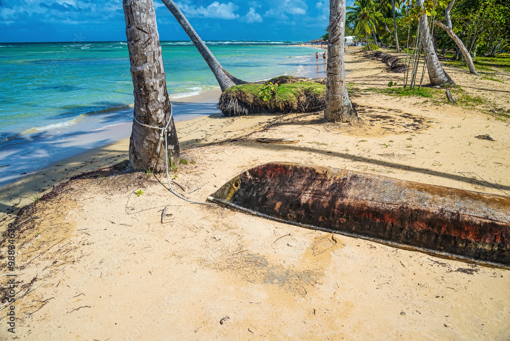 Sandy Caribbean Beach with Coconut Palm Trees, Clear Water and Blue Sea