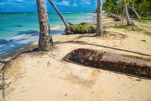 Sandy Caribbean Beach with Coconut Palm Trees, Clear Water and Blue Sea