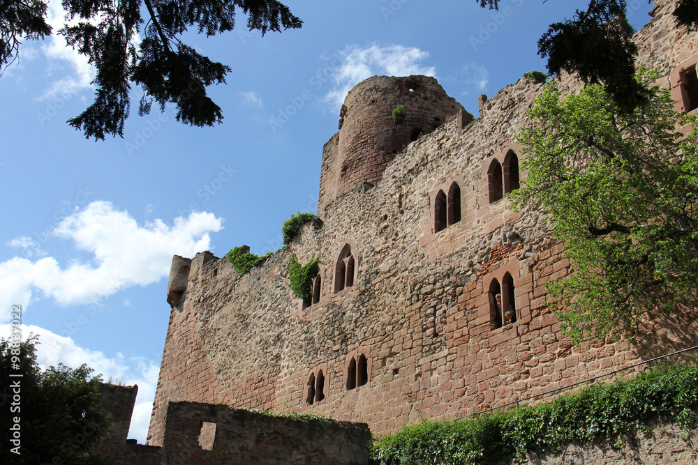 Château de Kintzheim Alsace France Photos Adobe Stock