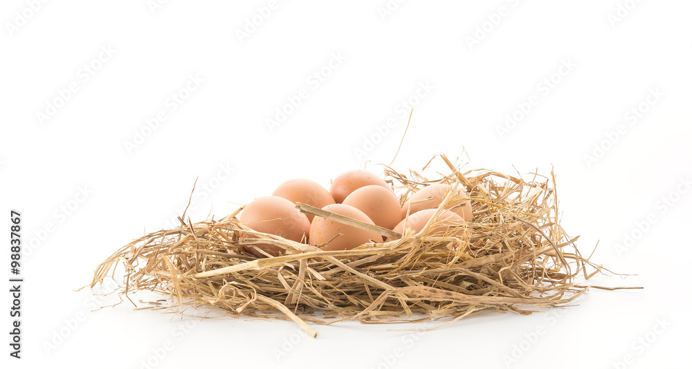 hen eggs hen eggs