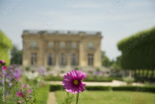 Reggia di Versailles