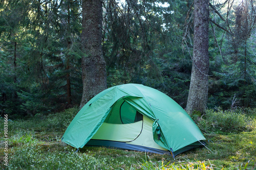 Camping area with multi-colored tents in forest.