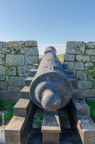 Cannon in a wall