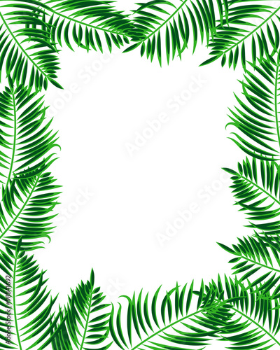 Tropical frame. Palm leaf background with place for your text. 