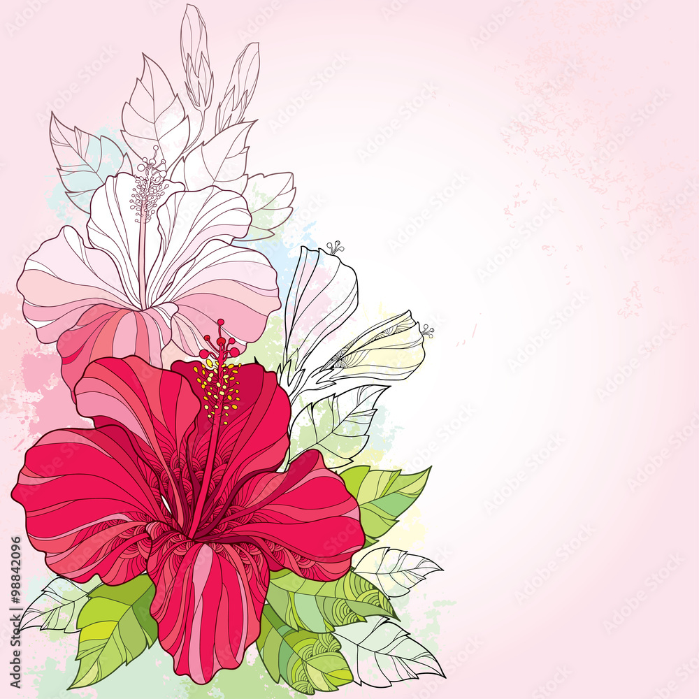 Bunga Raya Wallpaper