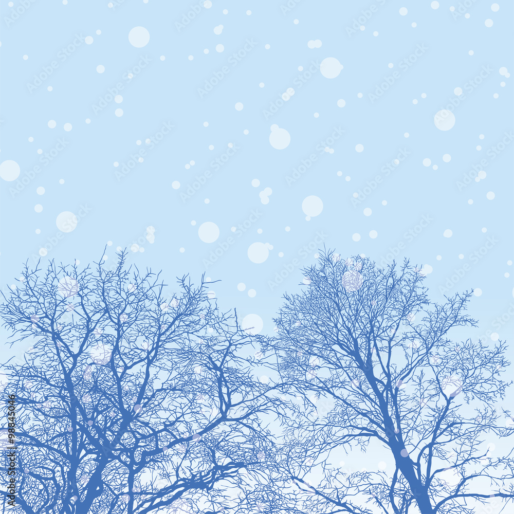 Snowy winter forest with trees Snowy winter forest with trees