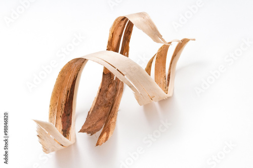 Bark. Wood shavings in a carpenter's masterpiece.
