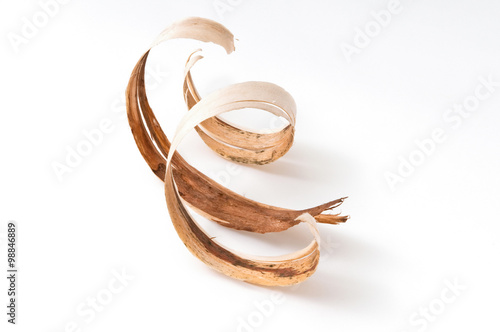 Bark. Wood shavings in a carpenter's masterpiece.