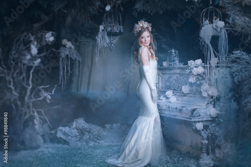 snow Queen in fairy forest