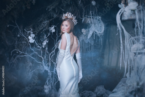 Bild auf Leinwand snow Queen in fairy forest