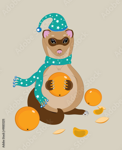The polecat eats ripe tangerines.