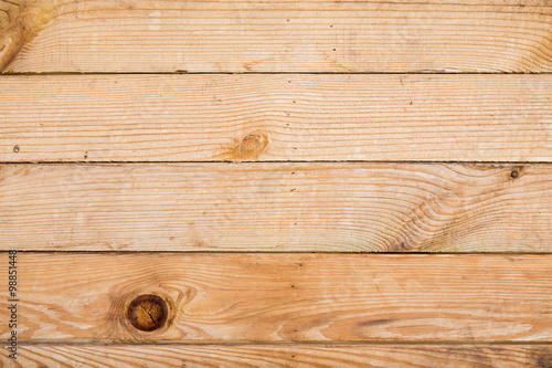 Wallpaper Mural real pine wood wall texture Torontodigital.ca