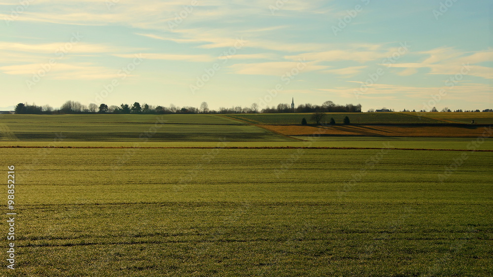 ebene grüne Ackerfläche mit Winterweizen mit Dorfsilhouette im Hintergrund