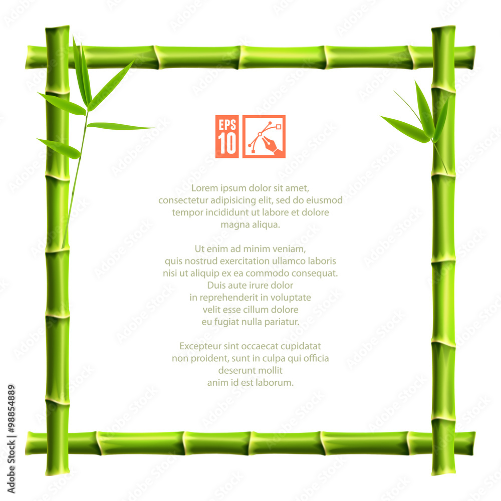 Bamboo frame. Vector illustration, eps10. Adobe Stock
