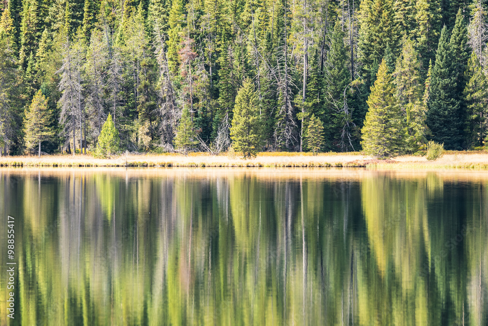 Jenny lake