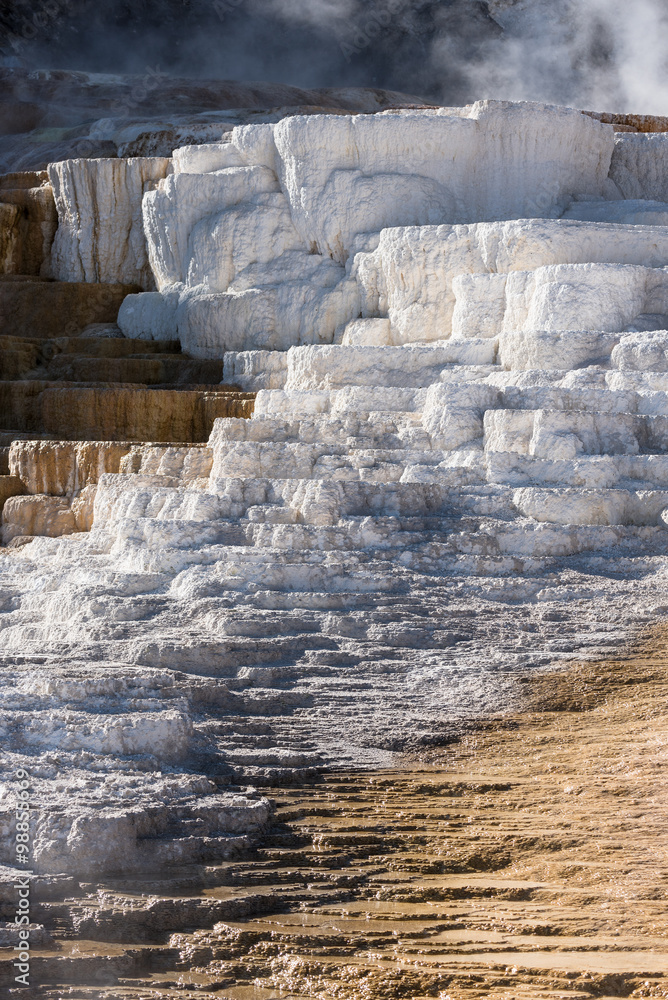 Mammoth terraces