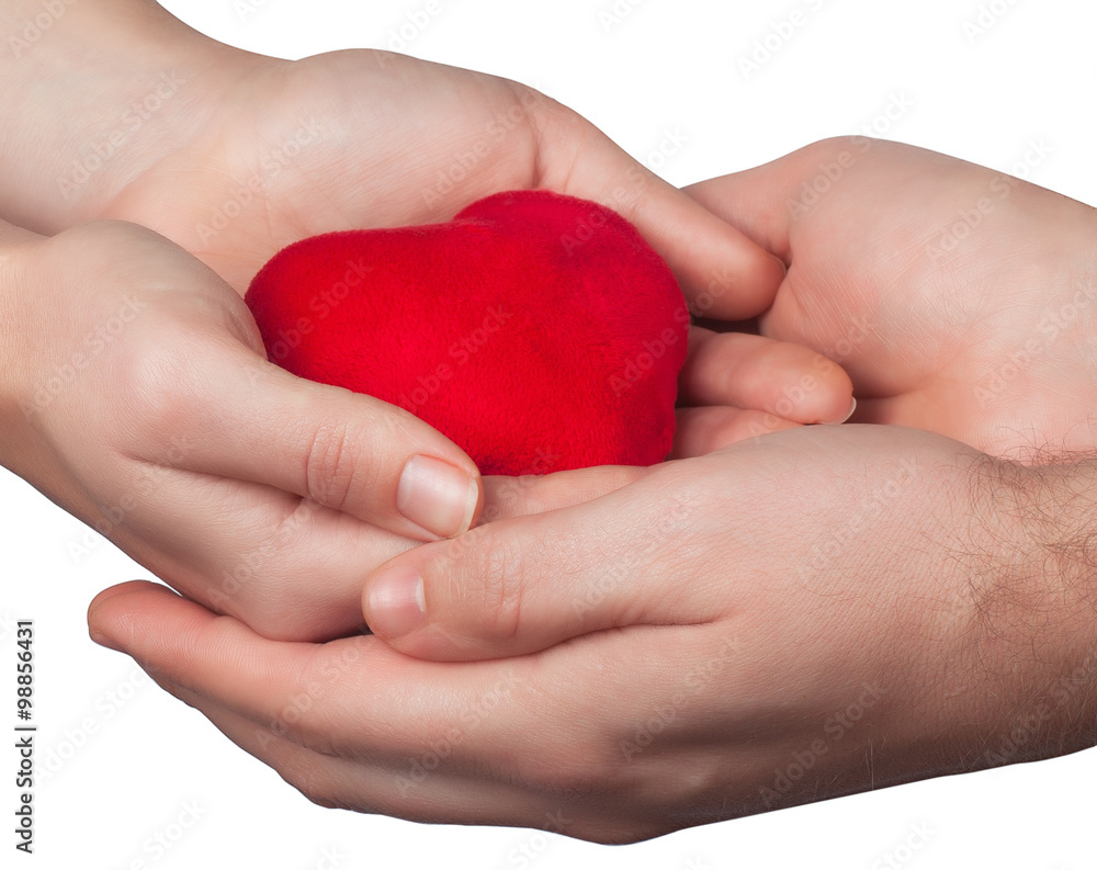heart in man and woman hands isolate heart in man and woman hands isolate