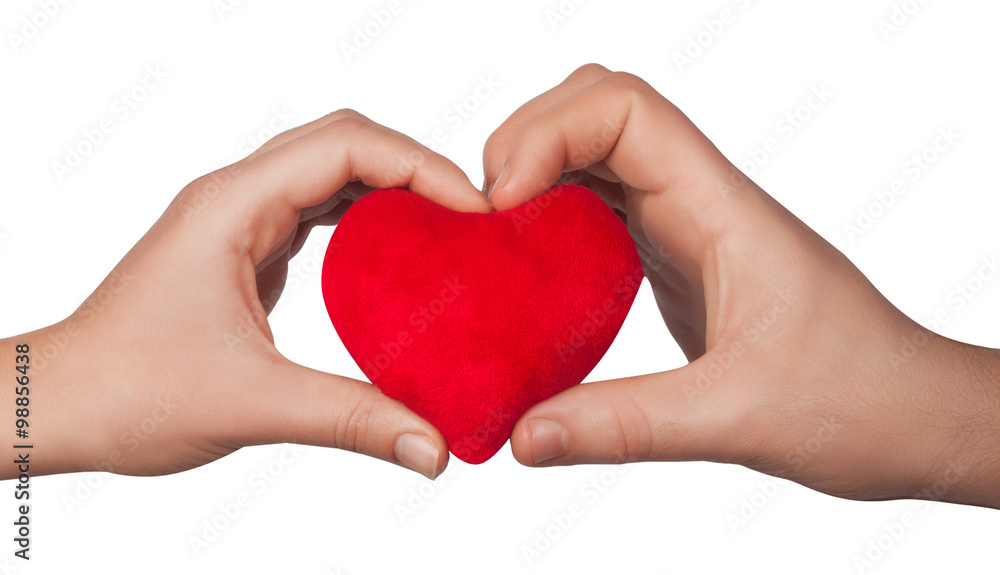 Fototapeta premium Heart in woman hands isolate